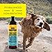 Dog Whisperer Flea Buster Dog Shampoo, Proven Effective, Made with Coconut-Based Castile Soap and Essential Oils (16 Ounces)