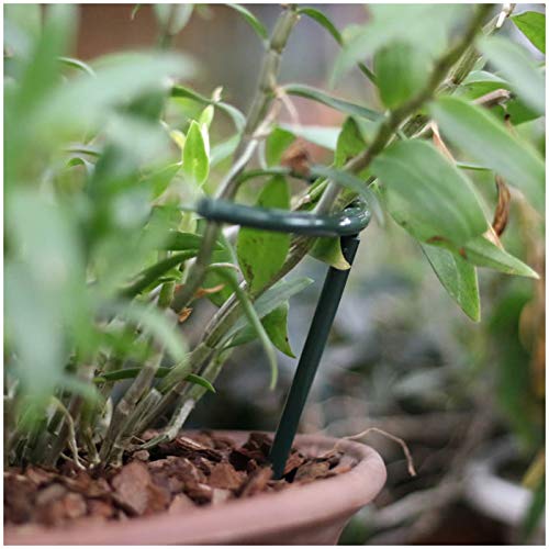 Creation Core 12Pcs Plastic Plant Support Stakes Lodging-Resistant Flower Supports DIY Garden Pot Climbing Trellis