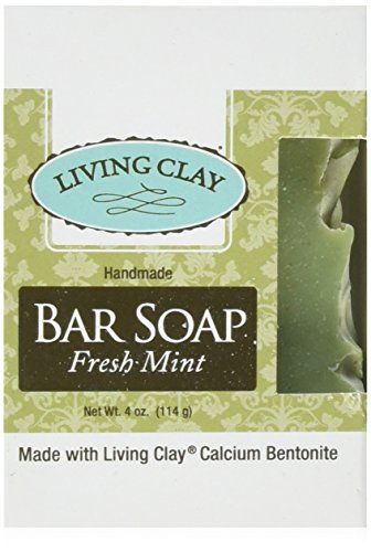 Living Clay Bar Soap, Fresh Mint, 4 Ounce
