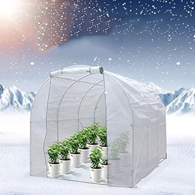 Amazon Com Lnddb Portable Walk In Greenhouse Plant Grow Tents