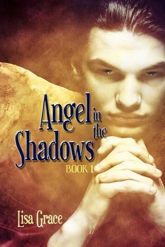 Angel in the Shadows, Book 1: # 1 (Angel Series) (The Angel Series)