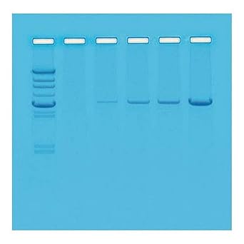 Biolab Edk 900103 Qu Est Ce Que La Pcr Et Quel Est Son Principe De La Pcr Amazon Fr Commerce Industrie Science Biolab Edk 900103 Qu Est Ce Que La Pcr Et Quel Est Son Principe De La Pcr Amazon Fr Commerce Industrie Science