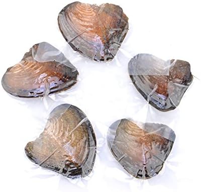 10 PC Akoya seawater Cultured Pearl Oyster Oval Pearls with White/Pink/black, Birthday Gifts(7.5-8mm)