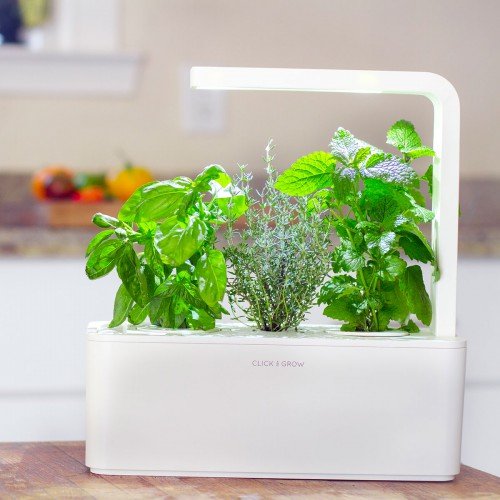 Click & Grow Smart Herb Garden Indoor Grow Kit with Basil, Thyme, and Lemon Balm Cartridges