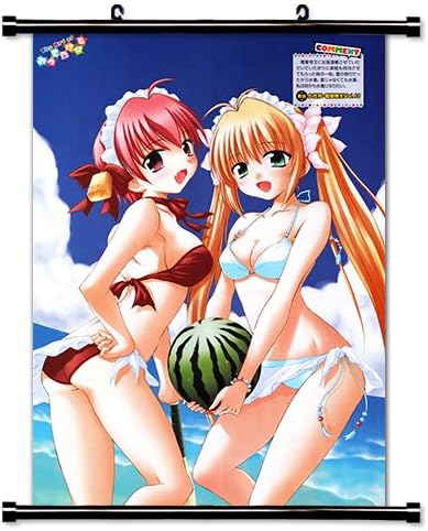 Amazon Com Indian Summer Anime Wall Scroll Poster 16x22 Inches Wp Indian Summer 19 Posters Prints