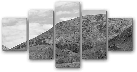Amazon Co Jp アザラン 5枚 パネル アートパネル 現代壁の絵 壁掛け部屋飾り背景絵画 キャンバス写真 壁アートしゃしん 木枠付きの完成品 装飾 軽くて取り付けやすい 100cmx50cm 黒と白 ホーム キッチン