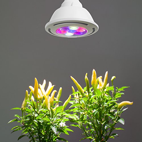 OSRAM SYLVANIA PAR38 17W LED Grow Light with Full Spectrum Buy Online