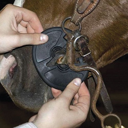 Reinsman Easy Button Bit Guard