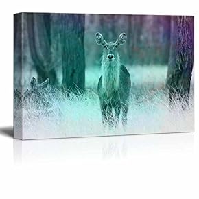 Animal Theme A Deer in The Woods Stretched