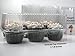 Katgely 6 Cavity Cupcake Containers with Deep Dome (Pack of 50)