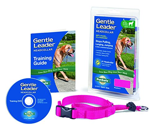 PetSafe Gentle Leader Head Collar Medium, Raspberry Pink - Image 3