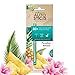 Enviroscent Autosticks Aroma Diffusers for Cars, Paradise Breeze, Box of 4