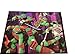 Nickelodeon Teenage Mutant Ninja Turtles Decorative Rug Kids Floor Mat 39.5 x 54 Inch