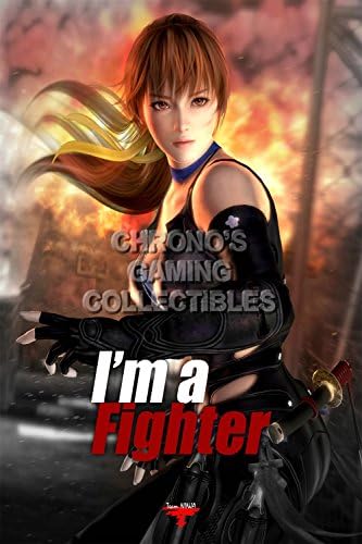 CGC Huge Poster - Dead or Alive Kasumii - PS2 PS3 XBOX 360 - DOA017 (24" x 36" (61cm x 91.5cm))
