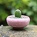 8 PCS 2.25 Inch Mini Ceramic Small Succulent Planter Pot Serial Cactus Planter Pot Flower Pot Container Planter