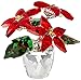 SWAROVSKI Poinsettia, Small