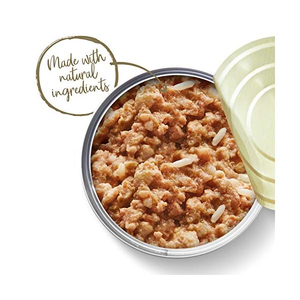 Applaws Natural Wet Kitten Food, Chicken Breast Cat Food Tin in Jelly 70g (Pack of 24 Tins)