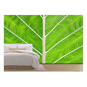 Texture of a Green Leaf as Background - Removable Wall Mural | Self-Adhesive Large Wallpaper - 66x96 inches