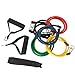 FlintFit Exercise Resistance Band Set: Stretchy Exercise Bands (11 Piece Set)