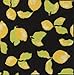 Machine Washable Lemons Design Non-Slip Rubberback 2x5 Kitchen Runner Rug for Kitchen, Hallway, Living Room, Bar, 20