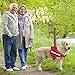 voopet Service Dog Harness, Emotional Support Pet Vest Harness, Reflective Breathable & Adjustable No Pull ESA Harness for Small Medium Large Dogs (with 4 PCS Removeable Tags),X Small (Pack of 1)