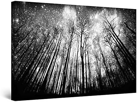 Startonight Canvas Wall Art Black and White Abstract Starry Night - Large Framed 80 x 120 cm