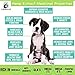 Hemp Oil for Dogs & Cats - Separation Anxiety, Pain Relief, Joint Supplement, Arthritis, Seizures, Sleep Aid - Organic Calming Drops with Full Spectrum Hemp Extract - Rich in Omegas 3:6:9 - USA Made