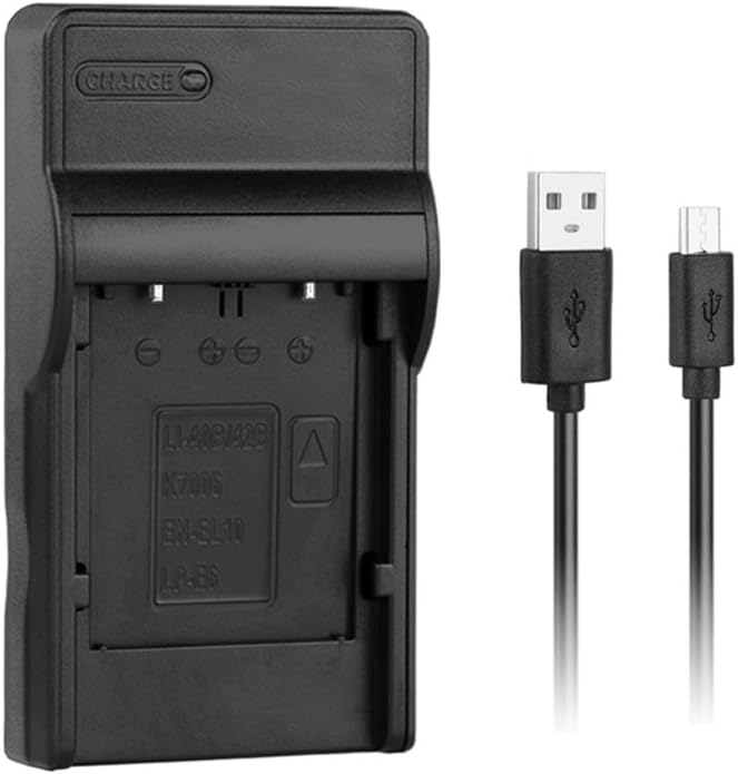 [Quick Charger] DMW-BCM13 Replacement USB Fast Charger for Panasonic DMW-BCM13E/DMW-BCM13PP, Lumix DMC-ZS27, ZS30, ZS35, ZS40,DMC-FT5,DMC-LZ40,DMC-TS5, DMC-TZ37, DMC-TZ40, TZ41, TZ55, TZ60 and more