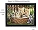 Kittens 3D Holographic Framed Picture - Holographic 3D Print of a kittens sitting in a basket of flowers. Framed and ready to hang. Measures 17.5