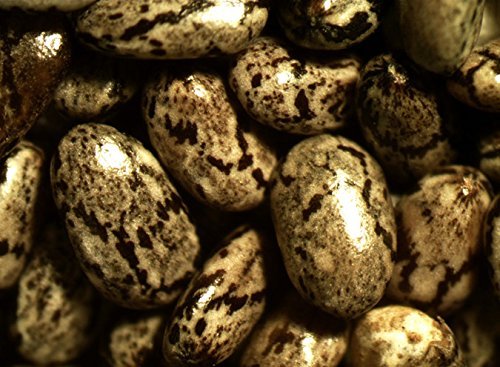 NON-GMO Organic Raw Chia Seeds, 1 Pound Bag - Image 6