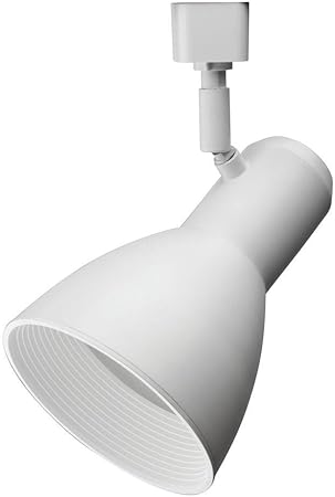 Lithonia Lighting Lthstbf Br30 Mw M4 Adjustable Decorative Led