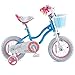RoyalBaby Stargirl Kids Girls Bike Bicycle with Basket Training Wheels Kickstand 16 Inch Blue