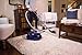 Electrolux EL4012A Silent Performer Bagged Canister Vacuum with 3-in-1 Crevice Tool and HEPA Filter, Blue