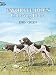 Favorite Dogs Coloring Book by Soren Robertson, John Green
