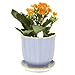 CHIVE ‘Liberte’ Ceramic Succulent Pots — Set of 3 — Cute Vintage Farmhouse Style Planters for Indoor Plants — Beautiful Home & Kitchen Decor — Yellow, Blue & Red (Mix 3)
