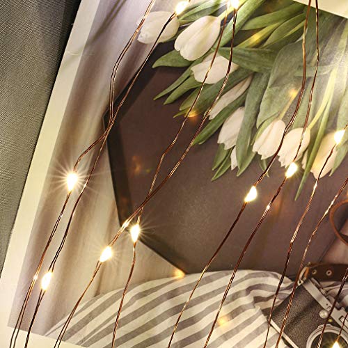 Beyonds Photo Clip LED Lights, 20/50/100 Bulbs Hanging Picture Lamp for Garden Wall Bedroom Lawns Christmas Indoor & Outdoor Decoration, Home Terrace Party Bar Decor