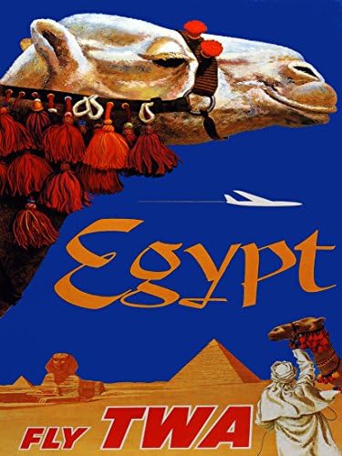 18"x24" Poster for home decoration.Egypt.Camel.12841