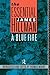The Essential James Hillman: A Blue Fire