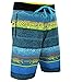 Microtek Boardshort