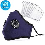 ANALAN Dust Masks Reusable Washable Mask Air Masks for Dust Smoke Pollen with Mask Filters