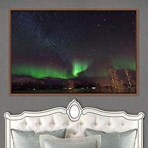 signwin Framed Canvas Wall Art Dayspring Astronomy &...