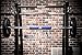 Barbell Shoulder Pad 19