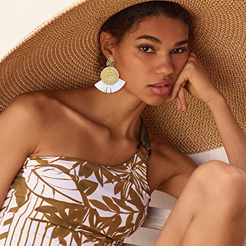 Acrylic Earrings for Women Drop Dangle Leaf Earrings Resin Minimalist Bohemian Statement Jewelry (2 pair Rattan Acrylic-Round)