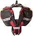 Mountainsmith K-9 Pack