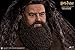 Star Ace Toys Harry Potter and the Sorcerer's Stone: Rubeus Hagrid Action Figure (1:6 Scale)