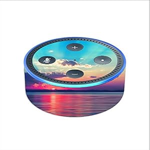 .com: Skin Decal Vinyl Wrap for Amazon Echo Dot 2 2nd generation 