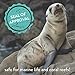 All Natural SPF 30 Sunscreen, Coconut Scent, Biodegradable, Reef Safe by Tropical Sands, Water Resistant Great for Snorkeling, 8 fl oz