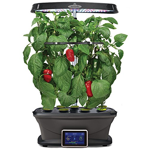 AeroGarden Sweet Bell Peppers Seed Pod Kit (Tall Gardens 7Pod/9Pod