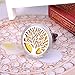 HooAMI Tree of Life Car Air Freshener Aromatherapy Essential Oil Diffuser - 316L Stainless Steel Locket with Vent Clip