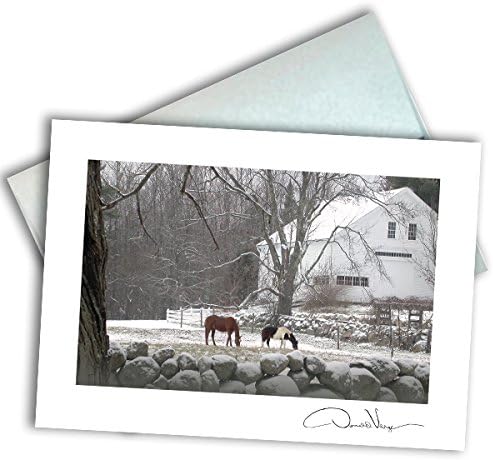 Single Note Card. Horses in the Field. 3x5 Blank Card with Classy Envelope. Best Birthday Cards, Thank You Notes &amp; Invitations. Unique Christmas, Mother's Day &amp; Valentines Gifts for Women